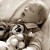 Bebês Reborn Cursos e Encomendas pronta entrega - Imagem2
