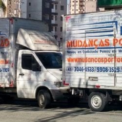 caminhao novo