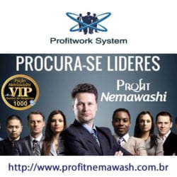 Profit Nemawashi