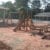 Playground infantil balanço casinha de tarzan de eucalipto tratado - Imagem3