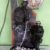 Escultura decorativa - Bonecos em Resina, temas de polícia e Forças Armadas - Imagem11