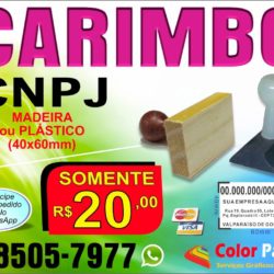 carimbo_madeira_valparaiso_brasilia