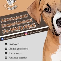 Adestramento para Cães Filhotes e Adultos São José dos Campos