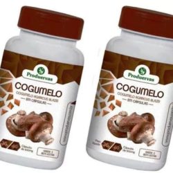 cogumelo-120-capsulas-500-mg-agaricus-blazei-do-sol-oferta-D_NQ_NP_626852-MLB26750647149_022018-F_Easy-Resize.com