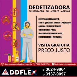 ddflex-RIO-DD