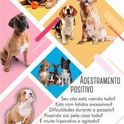 Adestra Cão