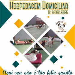 Hospedagem Domiciliar