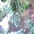 IMG_20200101_151939 IMG_20200101_151939