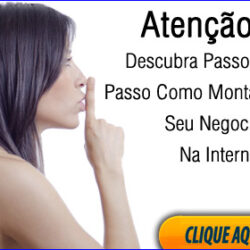 banner-formulanegocioonline-336x280-3