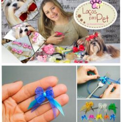 curso laços para pet