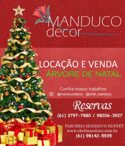 Locação de Arvores de natal e decoração natalina em Brasilia DF