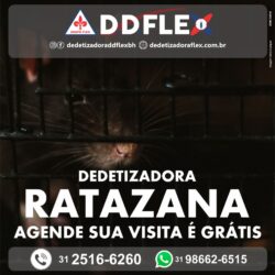 DDFLEX-bh-2021-RATAZANA